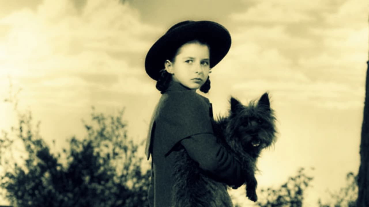 The Drivetime backdrop