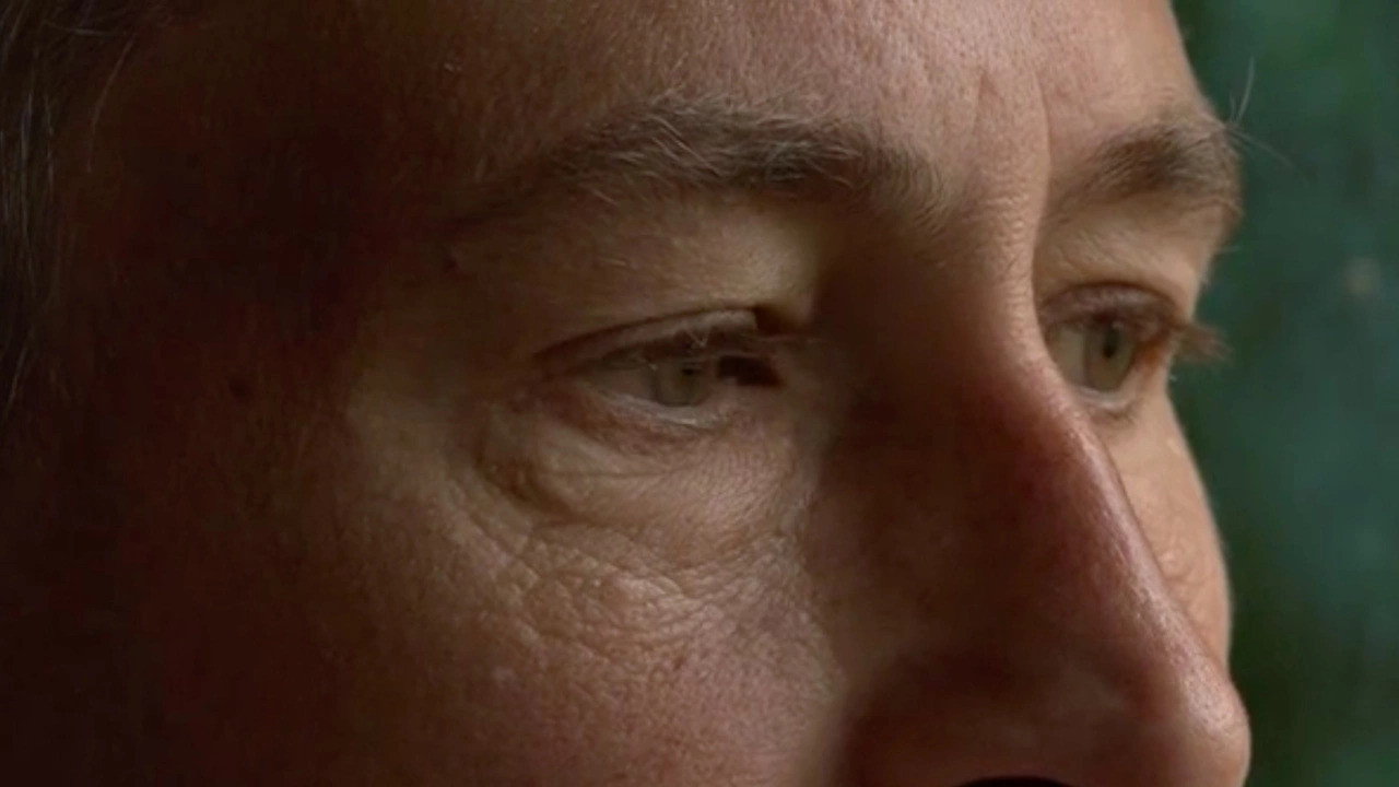 Pylli i Lirisë backdrop