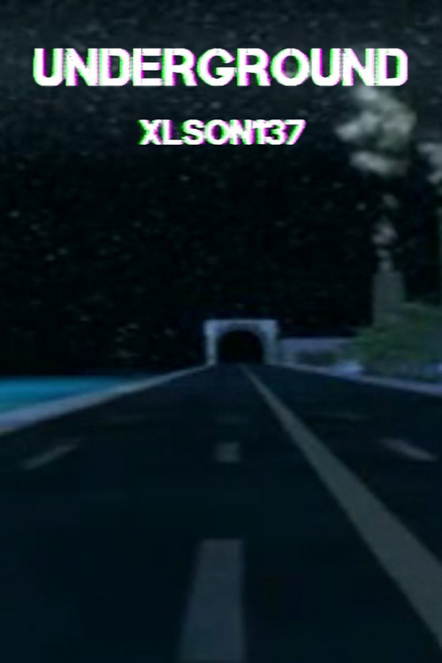 The Callahans and the Murphys poster