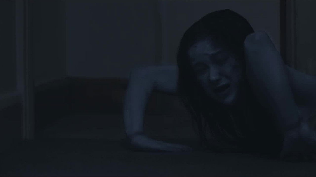 Më vjen keq backdrop