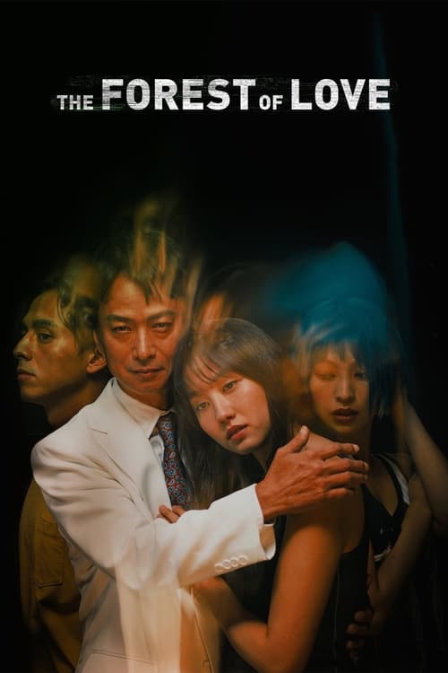 Gropa në Hënë poster