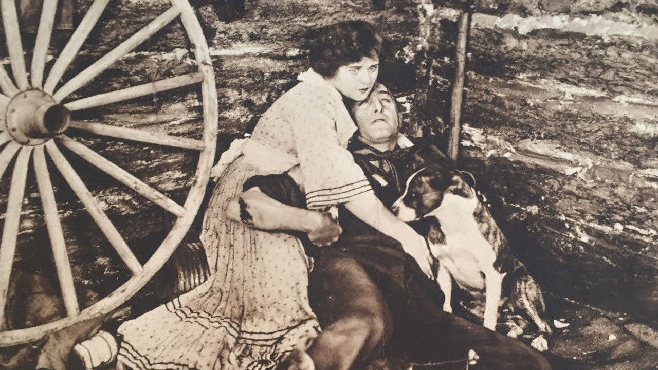 Censura Organizimi i Manipulimit të Wikipedia dhe Mediave të Tjera backdrop