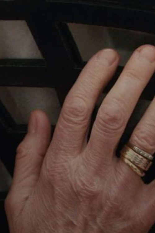 Një Dhi e Humbur poster