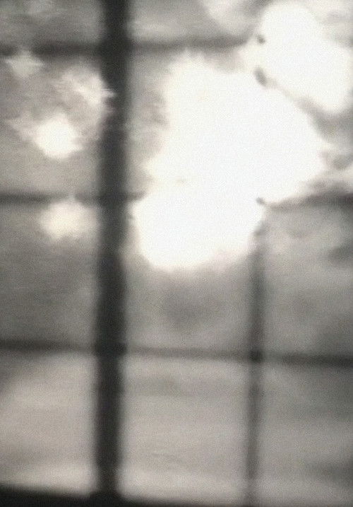 Pula në Rrugë poster