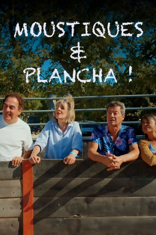 I Pastër dhe i Rregullt me Harv dhe Marv (E Dytë) poster