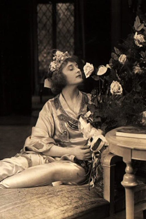 Dumb Luck can be translated to Albanian as Fat i Çmendur poster