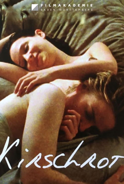 Super Folk Song: Piano ga Aishita Onna poster