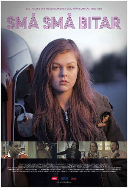 Sistemi i Nderit poster