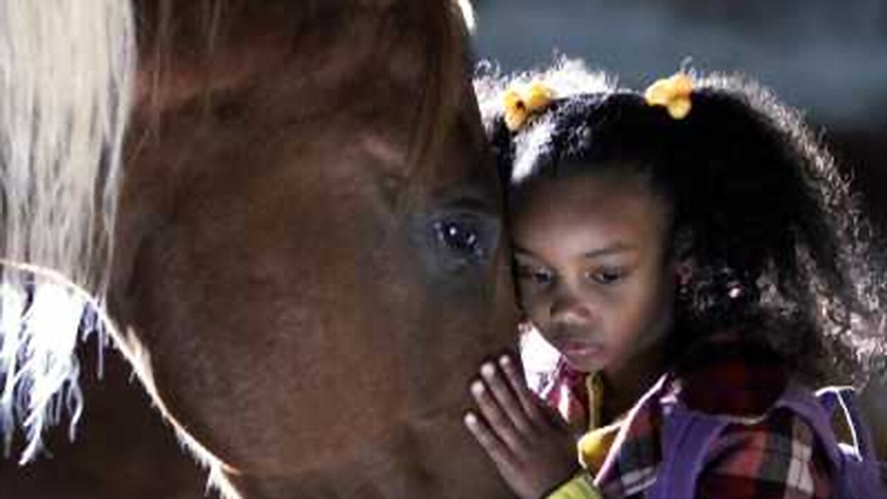 Aventurat e një Vrasësi Dragoi të Adoleshentëve backdrop