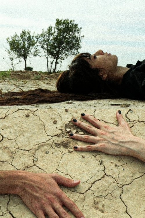 Body and Soul: An American Bridge poster