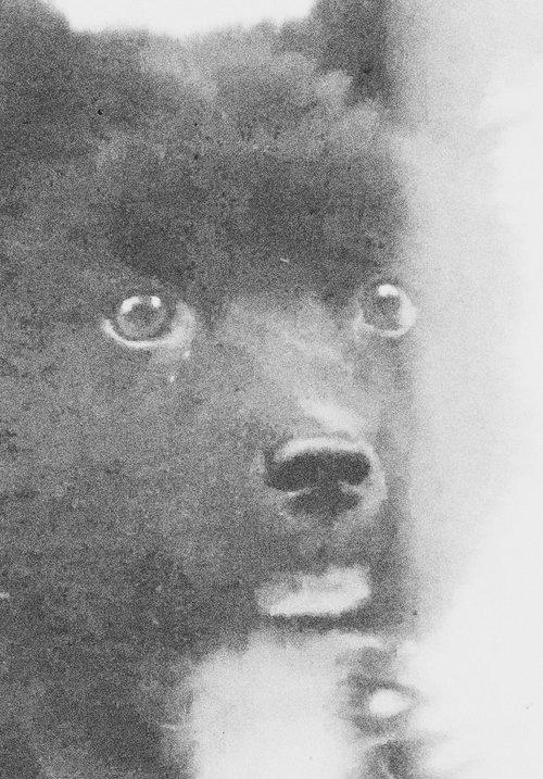 Kino, e kohës sonë: Mosso, mosso (Jean Rouch si në...) poster