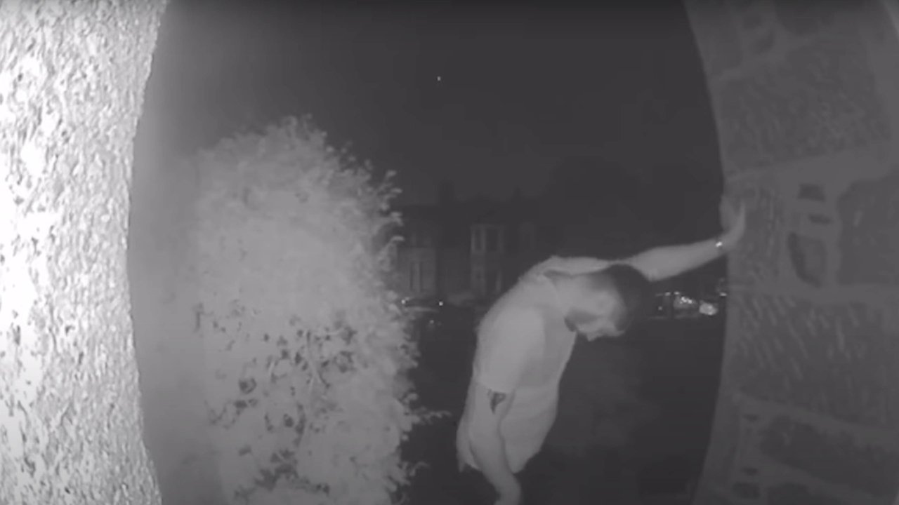 Ibis i Krehur backdrop