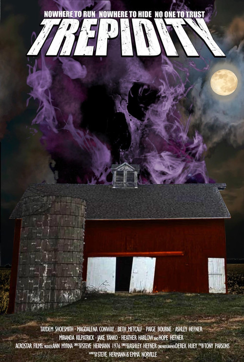 Led Zeppelin - 1970 deri në 1972 poster