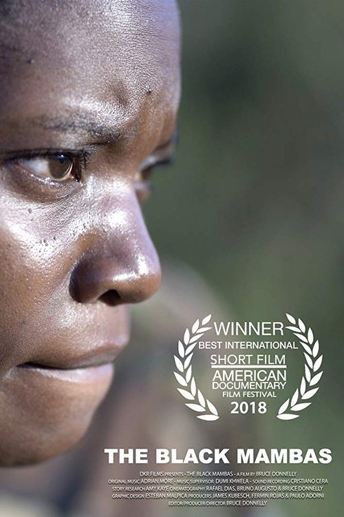 Kino-Pravda Nr. 12 poster