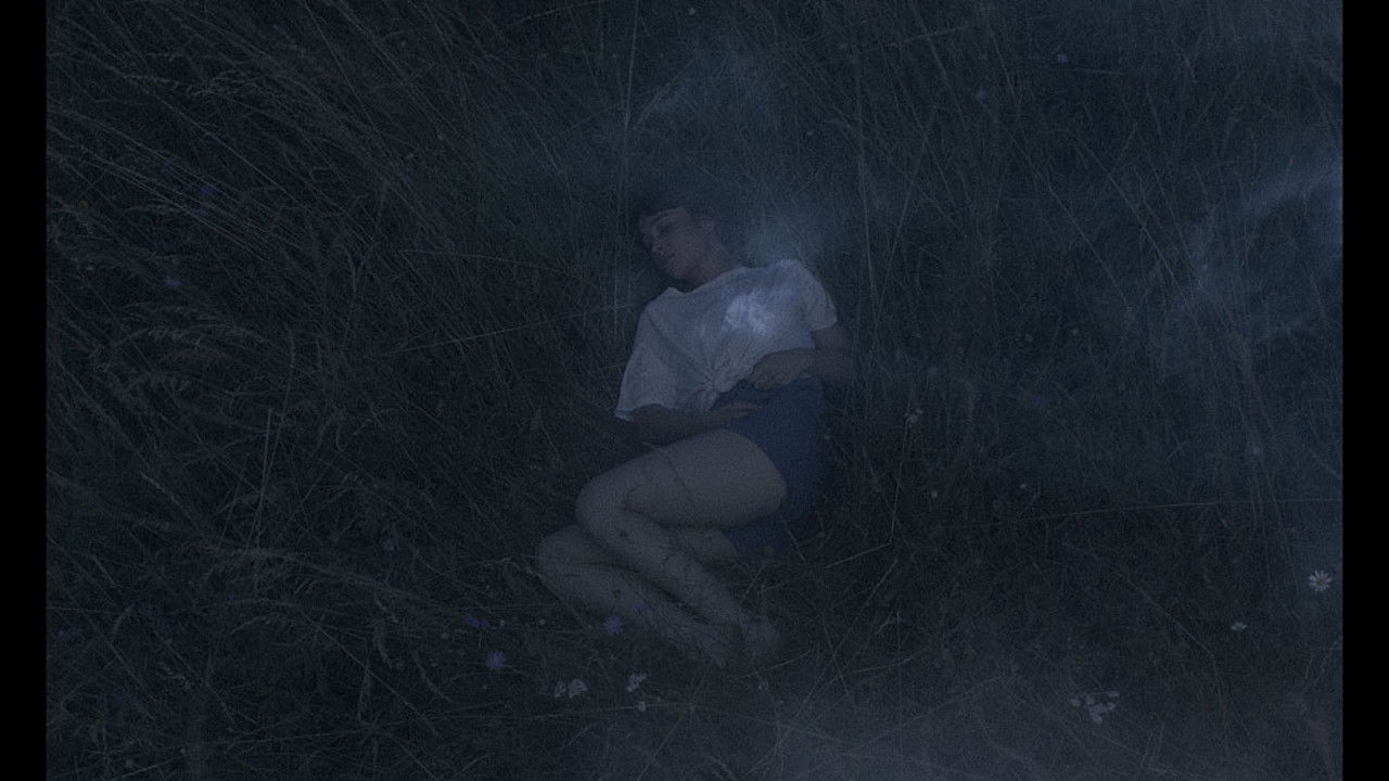 Henk Rijckaert: Eksperimenti backdrop