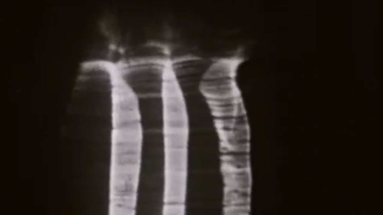 Putin Përgjithmonë backdrop