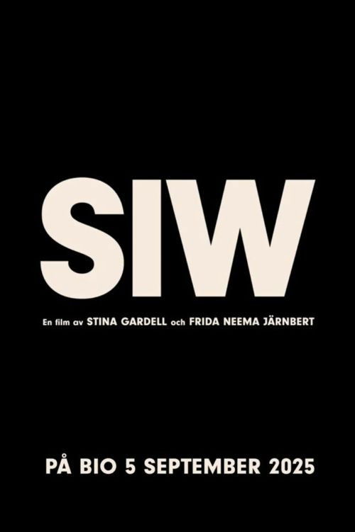 Mad_e in Bangladesh poster