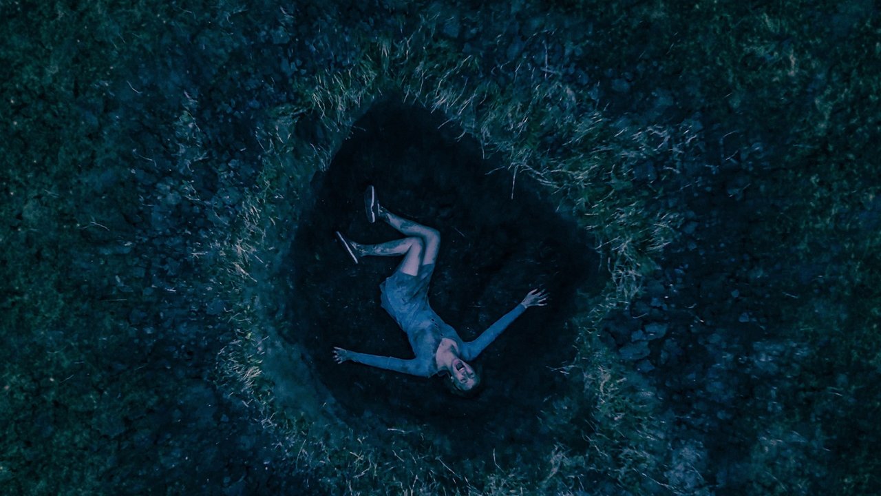 Roberto the Insect Architect backdrop