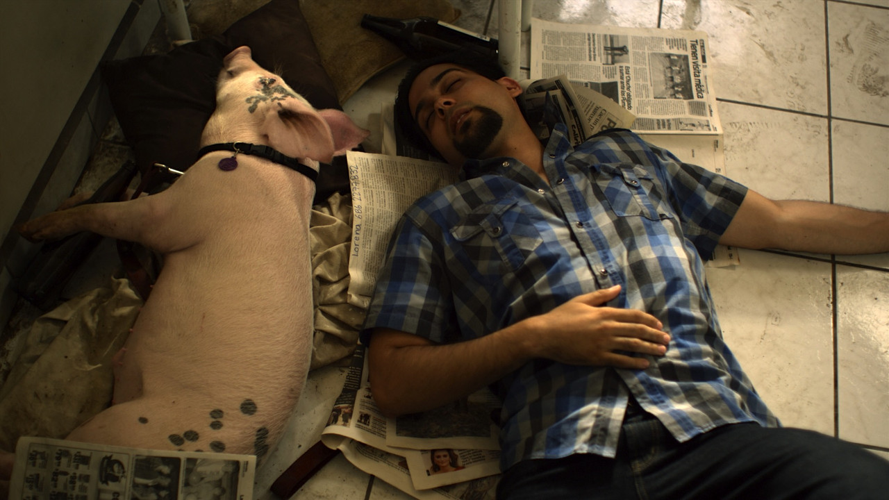 Qentë e Vreshtarisë: Vitet e Qenve - Live në Santiago dhe Përtej 2013-2016 backdrop