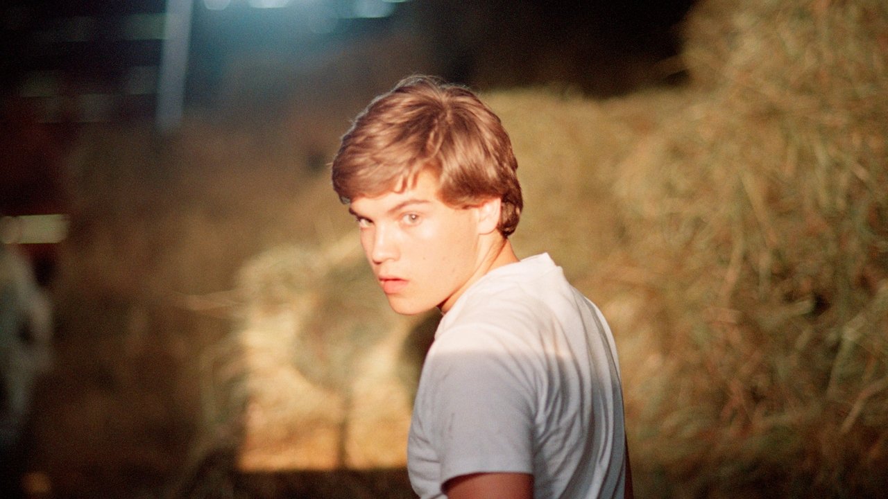 Të Këqijat e Jugut backdrop