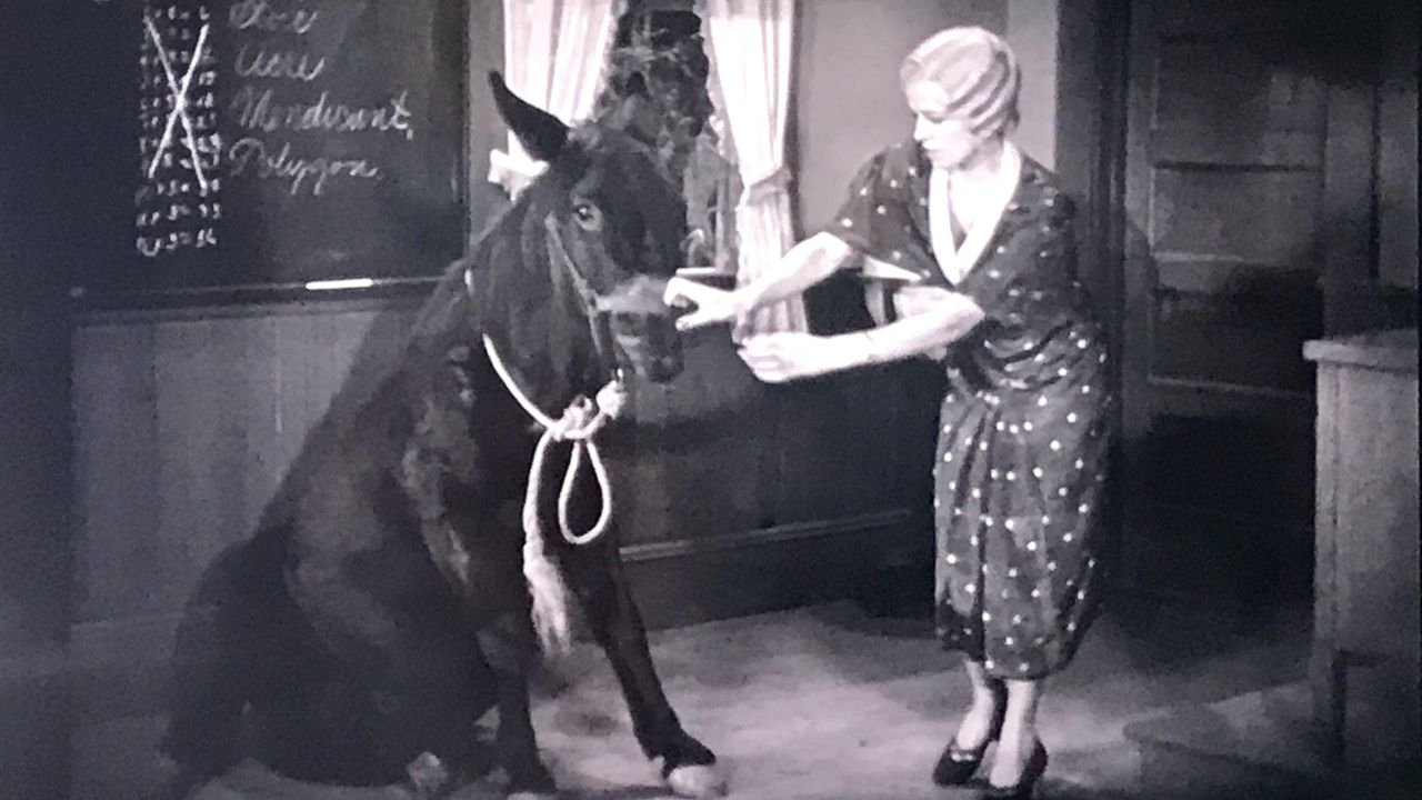 Bëj ose Vdis backdrop