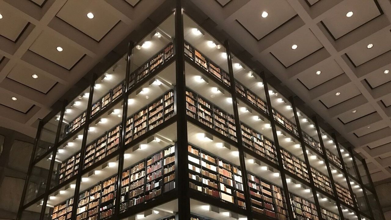 Plani i marrë backdrop