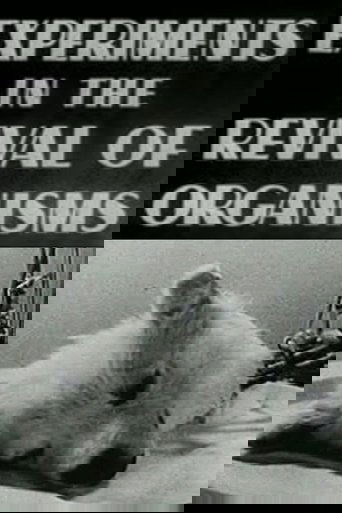 Martesa do të ndodhë patjetër