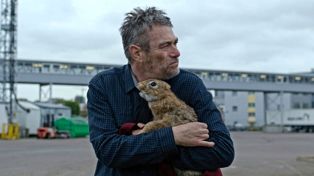 Eksplozioni backdrop