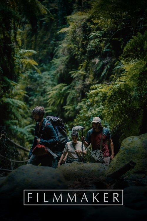 Këpucët e Kuqe dhe Shtatë Bujqit poster