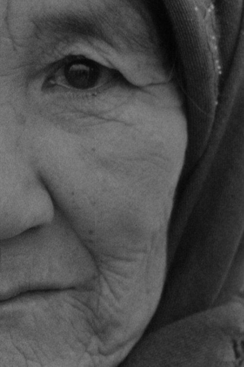 Neverdie Butterfly - Flutura që nuk vdes poster