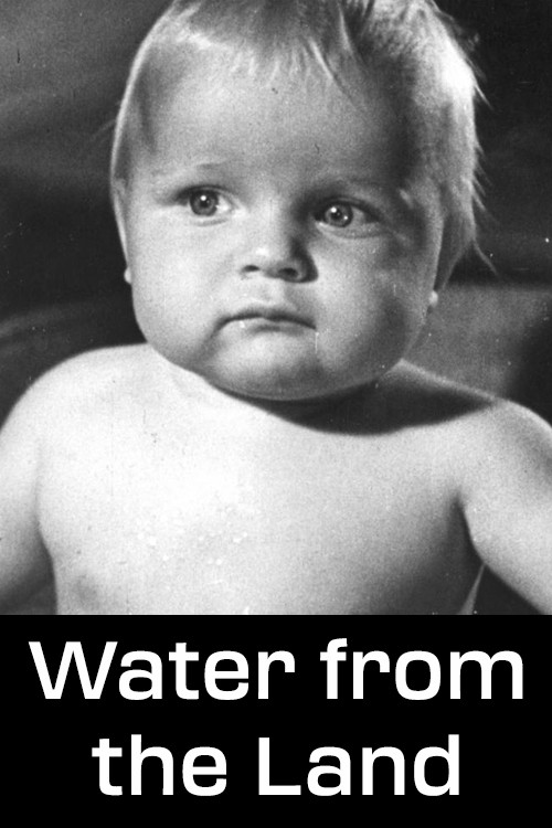 Pumat e mjegullës poster