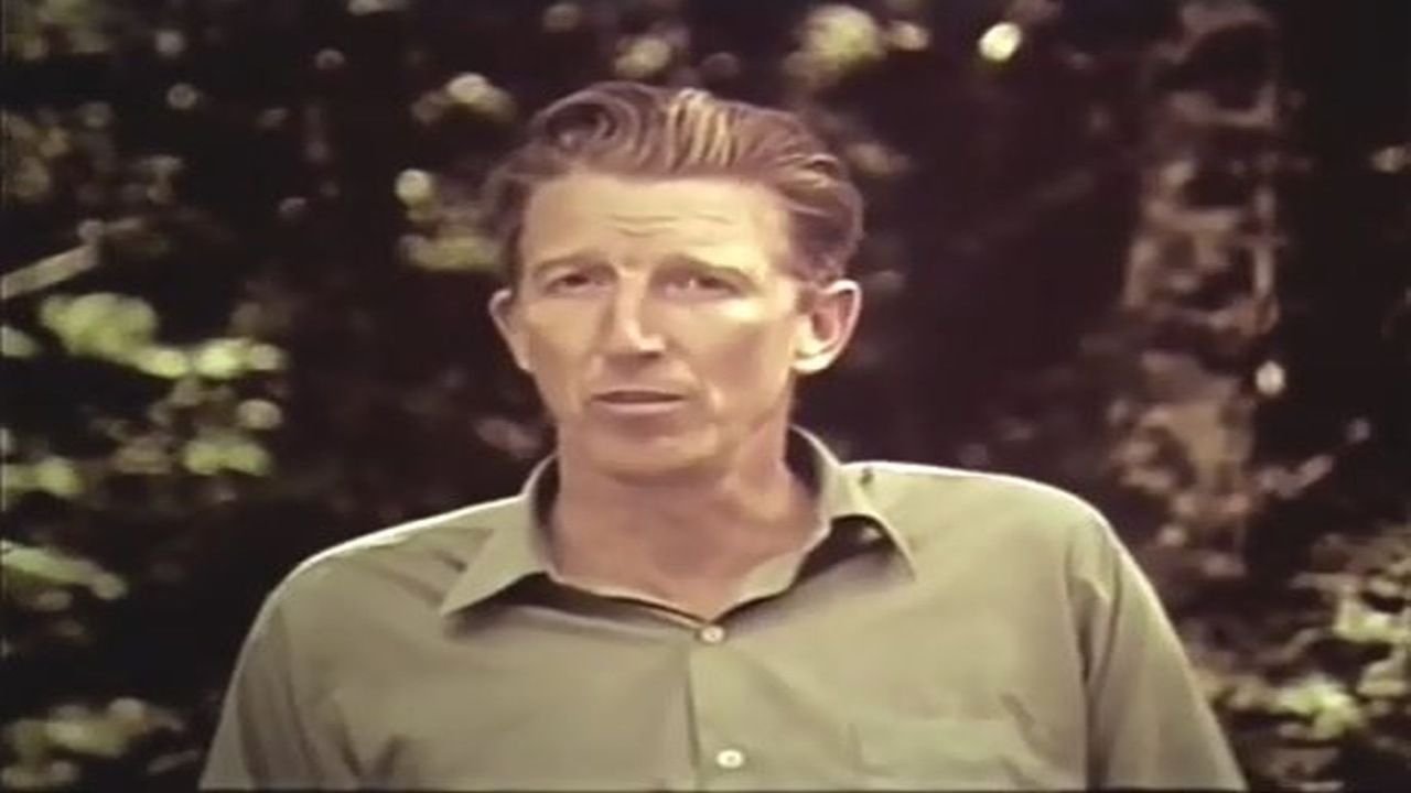 Të Shohim Dje backdrop