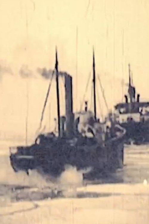 Të shkulurit poster