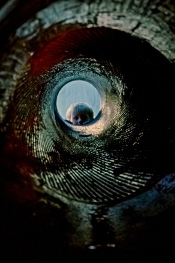 Todd Barry: Mjaltë Pikante