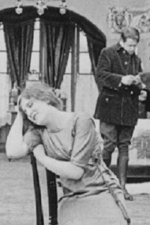 Neville Shah: Përse po qeshni? poster