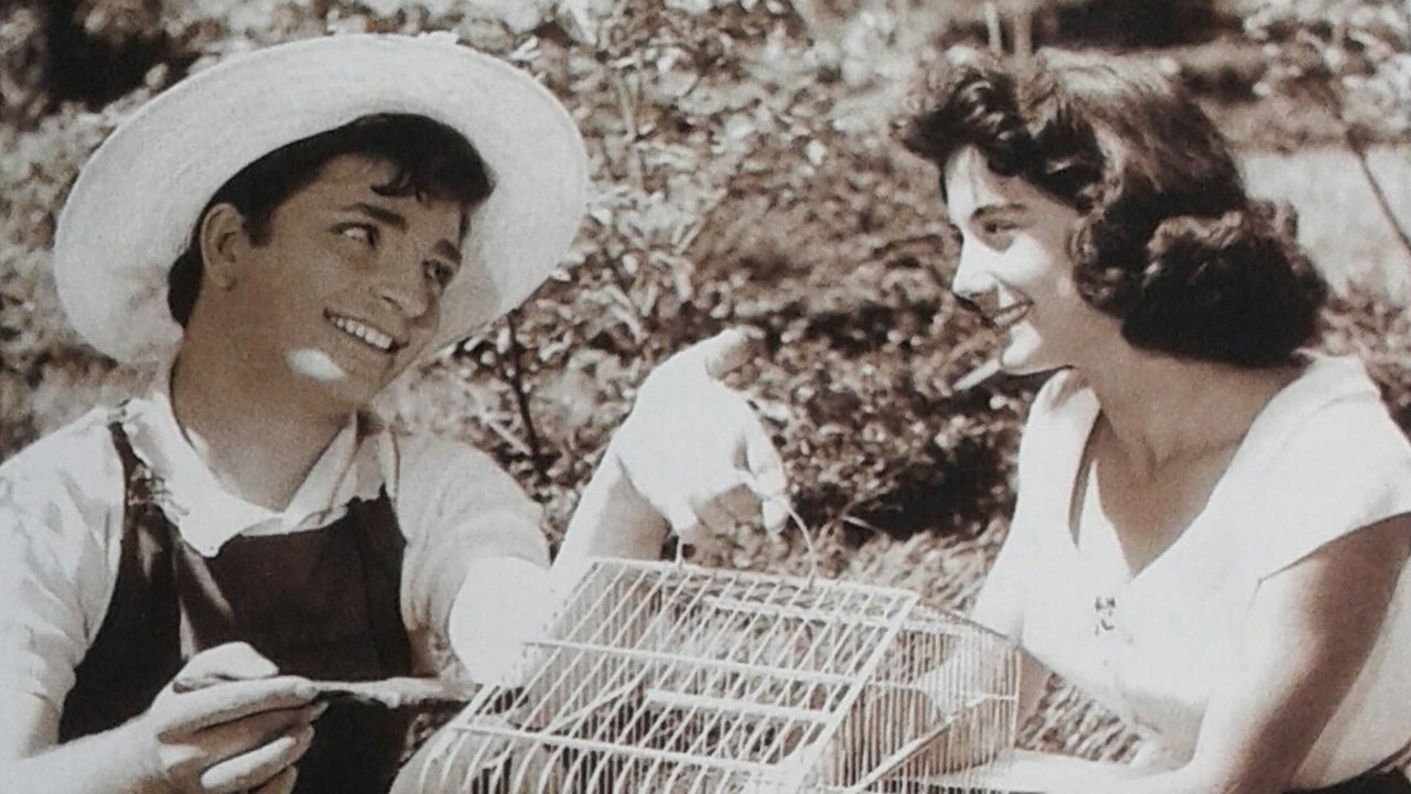 Speciali i 50-vjetorit të Carol Burnett backdrop