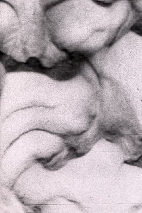 Policia njofton poster