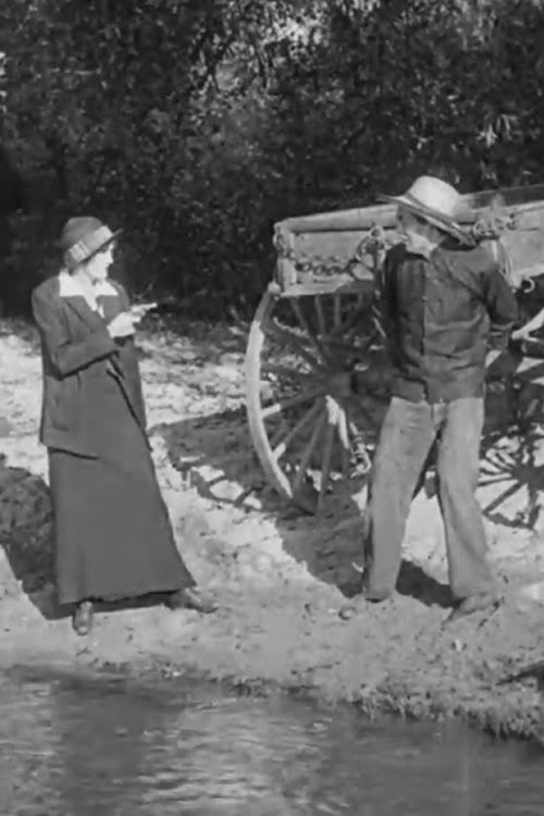 Zëri i Përparimit poster