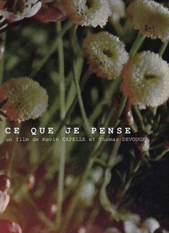 Udhëtimi i Teresës