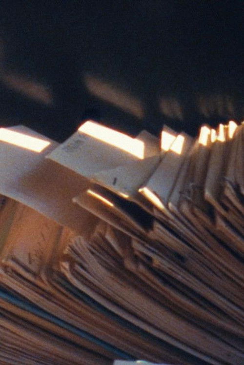 Lajme të mira poster