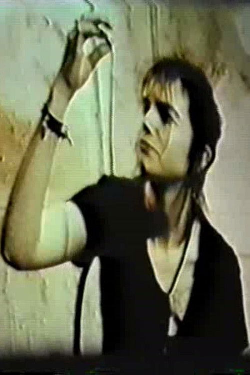 Bela e New Yorkut poster