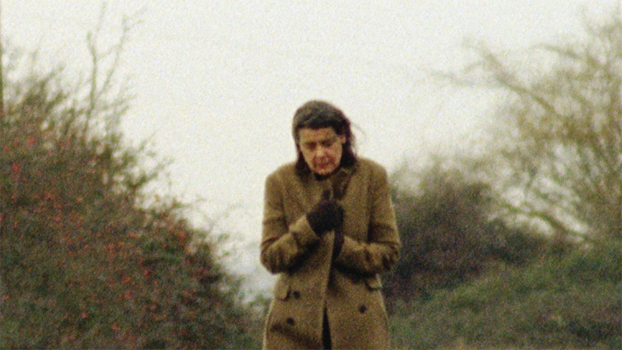 E vërteta dhe Gënjeshtrat: Vëllezërit Menendez backdrop