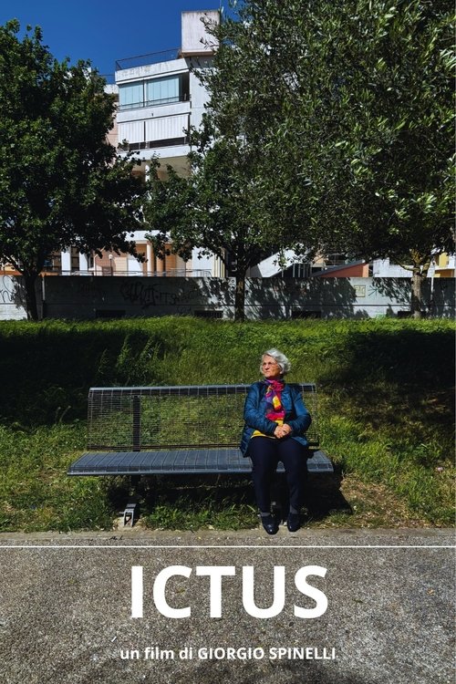 Koncerti i Vitit të Ri 2018 poster