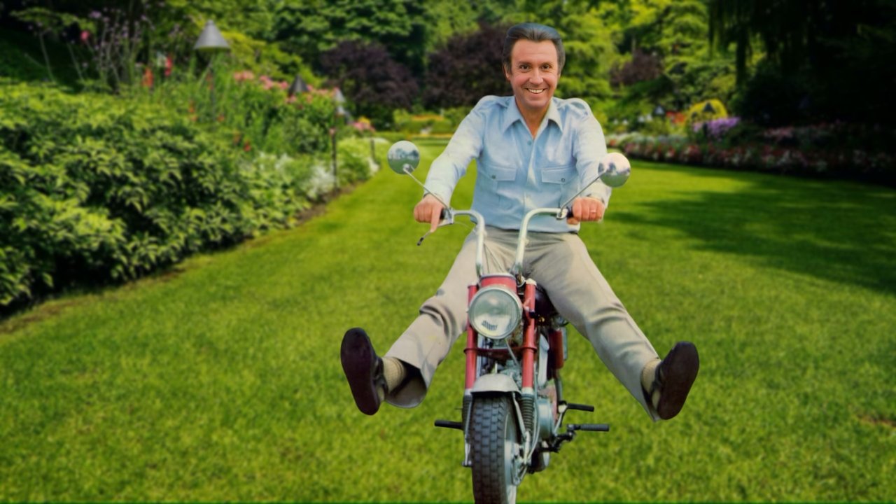 Natëra Boogie backdrop