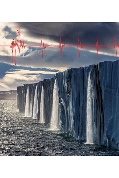 Salak Bacılar poster