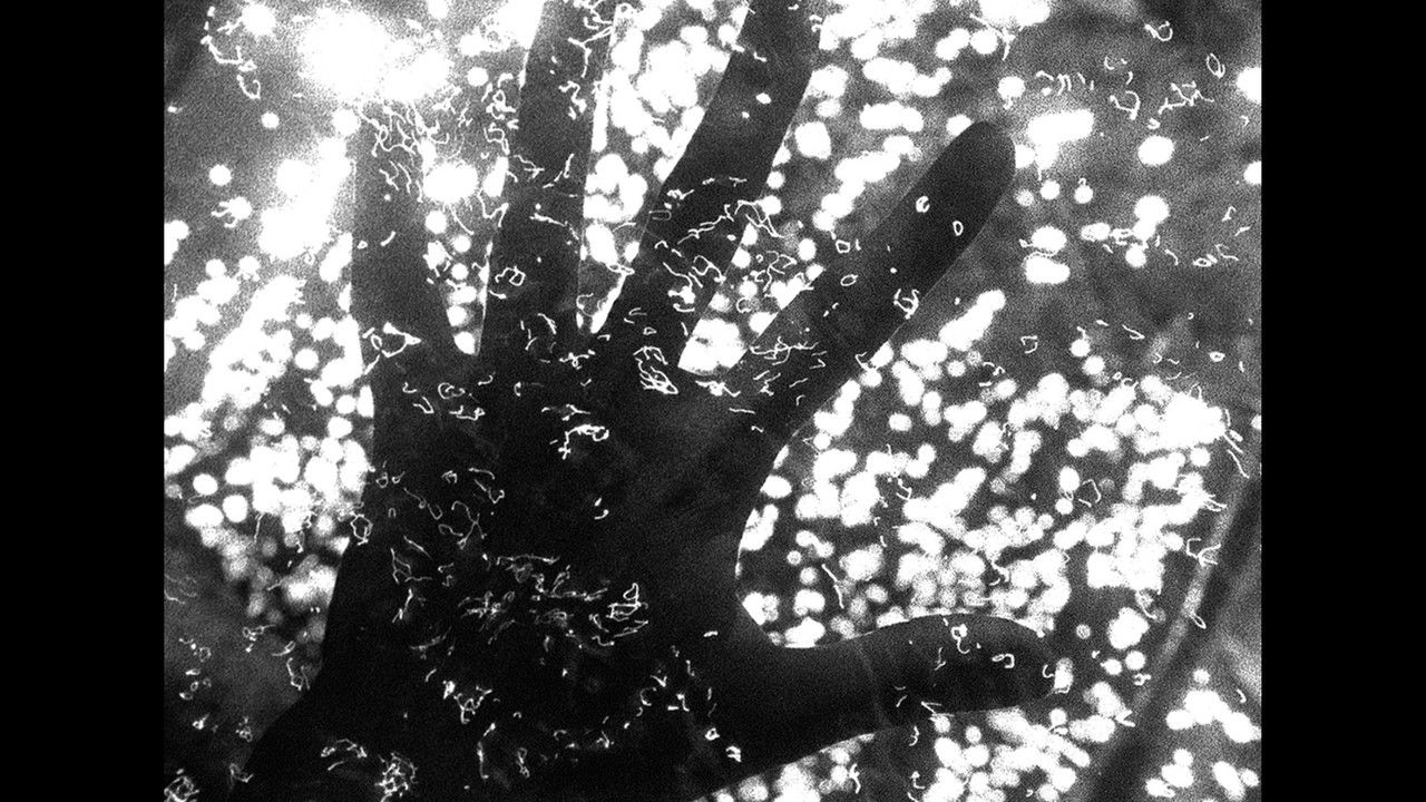 Julien Doré - & Turne backdrop