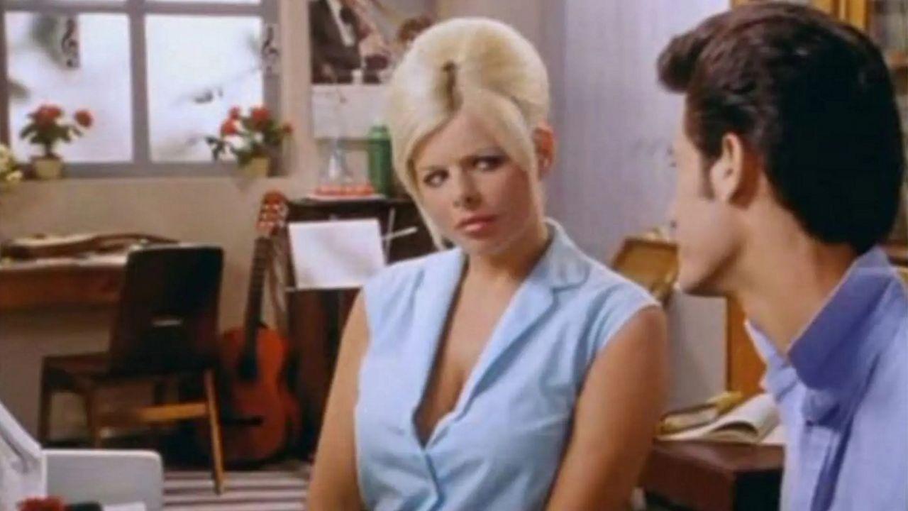 Përshëndetje I huaj backdrop