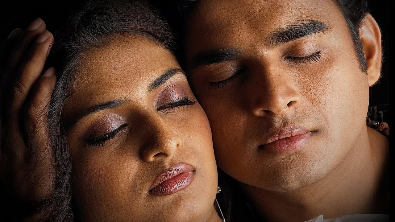 Lugjet në mjegull backdrop