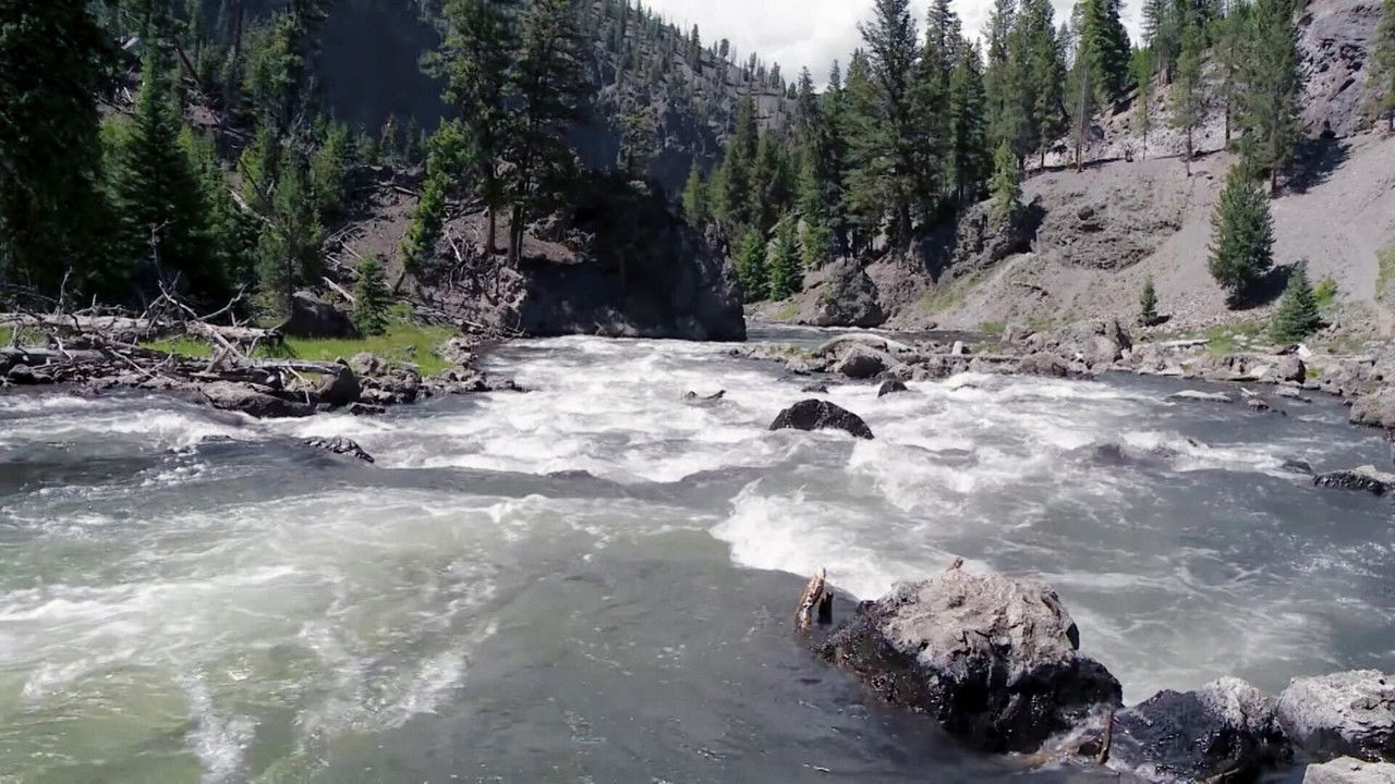 Beteja e Bogside-it backdrop