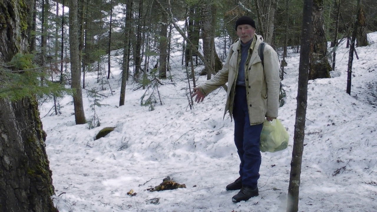 A.W. Një Portret i Apichatpong Weerasethakul backdrop